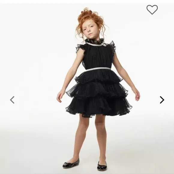 Janie and Jack Dot Tiered Tulle Dress ( size 5 years ) - Picture 6 of 6